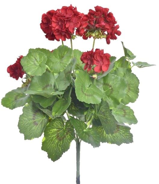 PELARGONIA X7 40CM SUN534 RUBIN