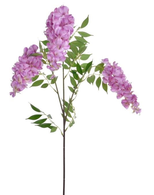 WISTERIA X3 100CM SUN679 VIOLET