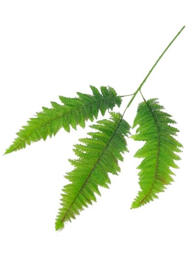 PAPROĆ GAŁĄZKA 3 LIŚCIE 80CM GREEN