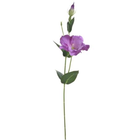 EUSTOMA NA PIKU 47CM SUN357 LT VIOLET DR VIOLET