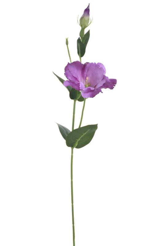 EUSTOMA NA PIKU 47CM SUN357 LT VIOLET DR VIOLET