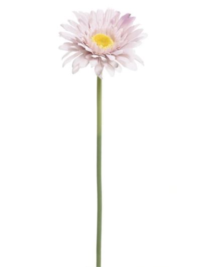 GERBERA POJ 47CM  SUN529 DELICATE BROWN