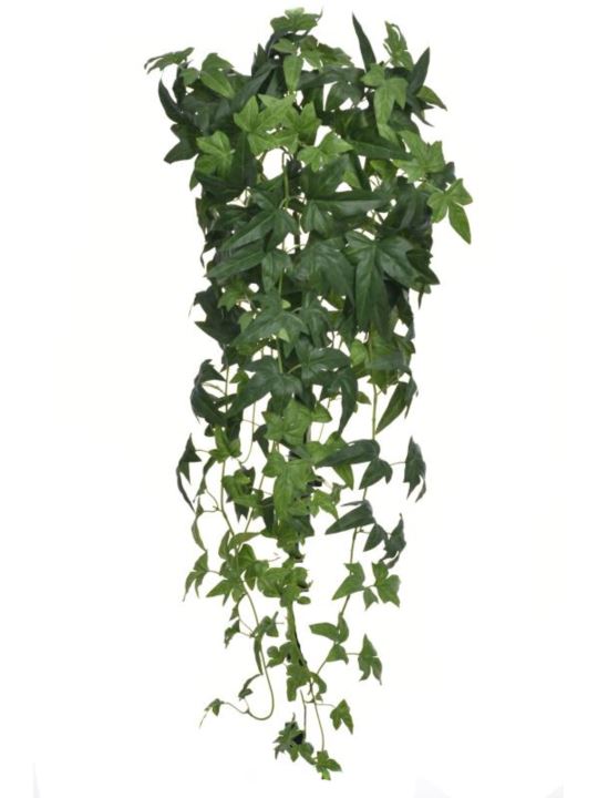 HEDERA BLUSZCZ 95CM BL081 GREEN