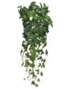 HEDERA BLUSZCZ 95CM BL081 GREEN