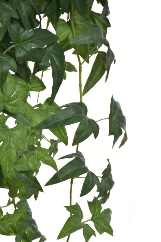 HEDERA BLUSZCZ 95CM BL081 GREEN