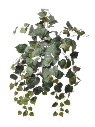 BLUSZCZ LESZCZYNA 65CM SUN647 GREEN