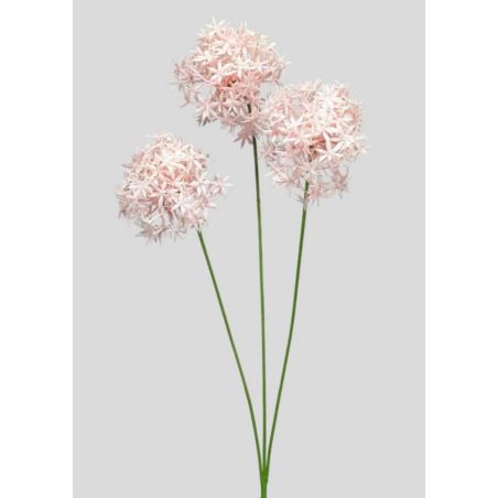ALLIUM – CZOSNEK 3 KWIATY 64CM POWDER PINK