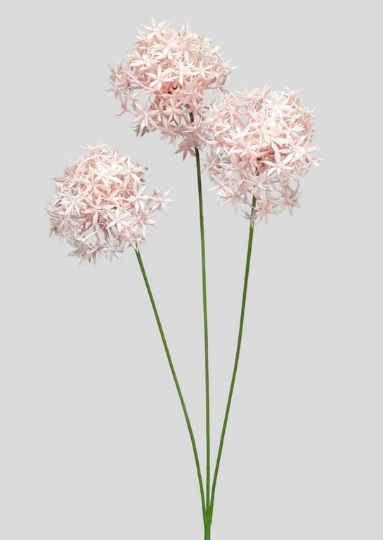 ALLIUM – CZOSNEK 3 KWIATY 64CM POWDER PINK