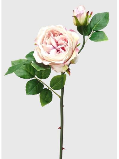 RÓŻA ANGIELSKA GAŁĄZKA 52CM CREAM PINK