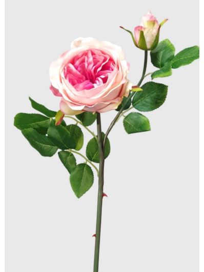 RÓŻA ANGIELSKA GAŁĄZKA 52CM PINK