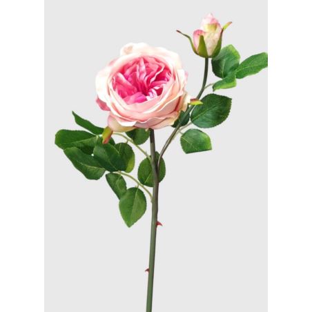 RÓŻA ANGIELSKA GAŁĄZKA 52CM PINK