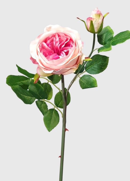 RÓŻA ANGIELSKA GAŁĄZKA 52CM PINK
