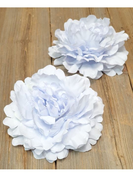 PEONIA GŁOWA NEW 14CM POWDER LT BLUE