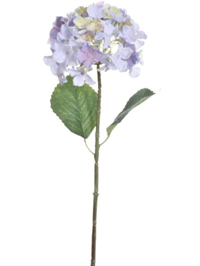HORTENSJA POJEDYNCZA 67CM ART262 ICE VIOLET
