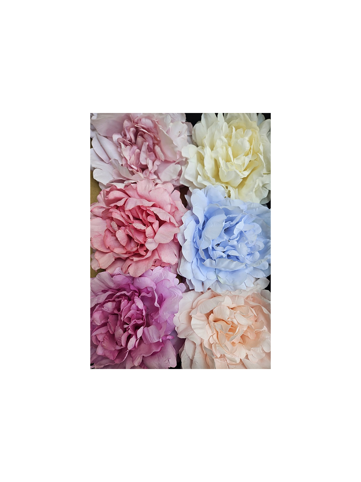 PEONIA GŁOWA NEW 14CM POWDER LT BLUE