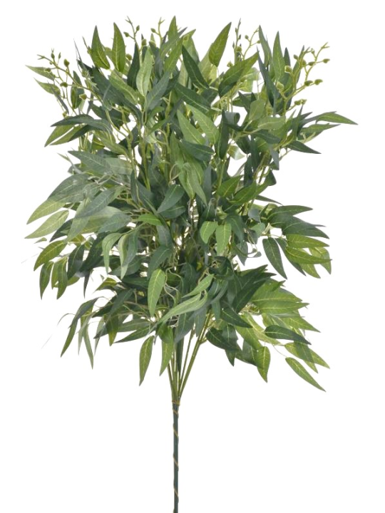 RUSKUS NA PIKU 60CM LIU388 DR.GREEN