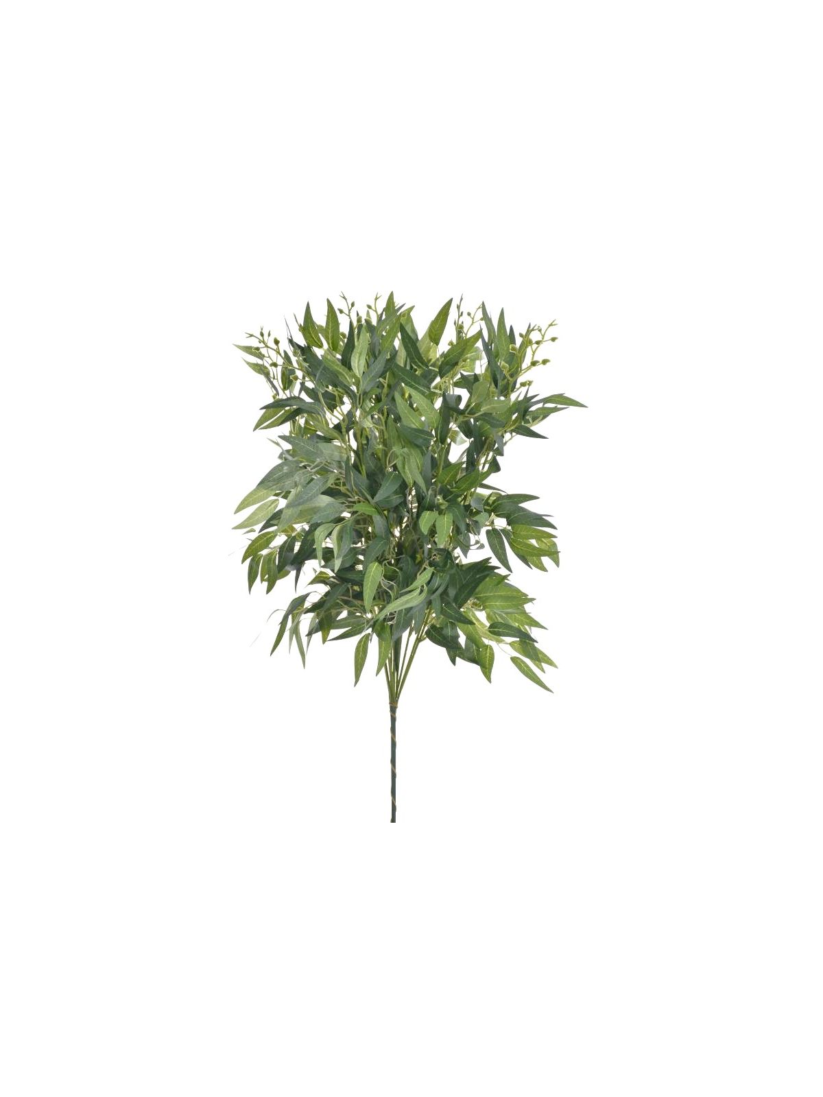 RUSKUS NA PIKU 60CM LIU388 DR.GREEN