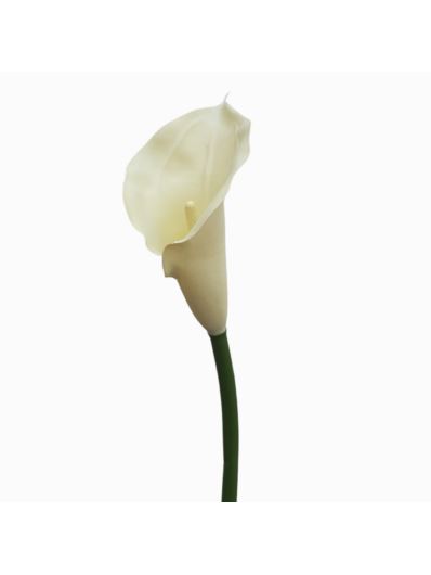 CALLA GUMA 72 CM  ANA1013 CREAM