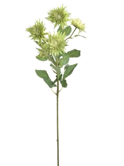 GAŁĄZKA ASTER 70CM SUN662 GREEN