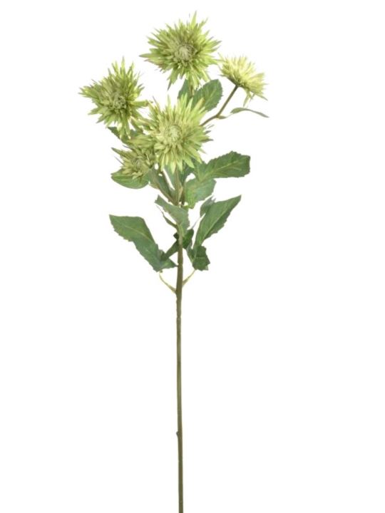 GAŁĄZKA ASTER 70CM SUN662 GREEN
