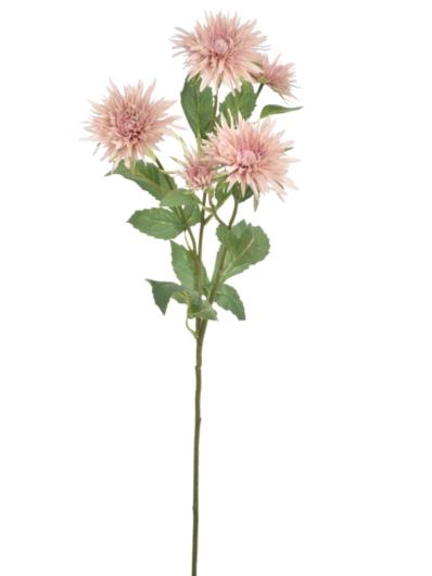 GAŁĄZKA ASTER 70CM SUN662 HAZELNUT