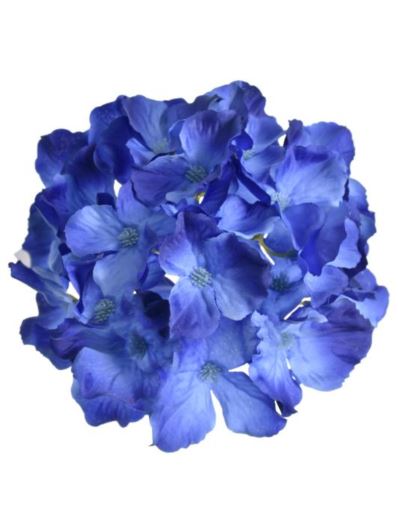 HORTENSJA GŁÓWKA 15CM SUN644 DR BLUE