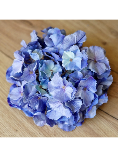 HORTENSJA GŁOWA DUŻA 20CM /CHQ01 02#4 BLUE VIOLET