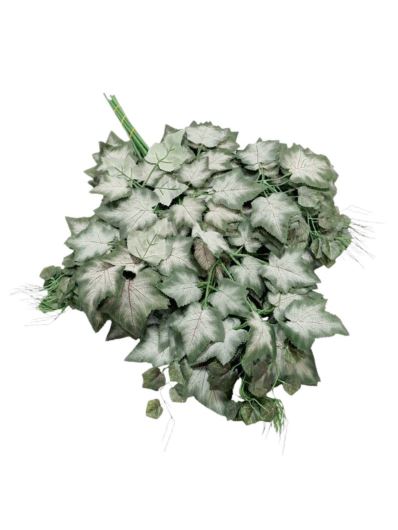 LIŚĆ X3  WINOBLUSZCZ OMSZAŁY 74CM POWDER DK GREEN