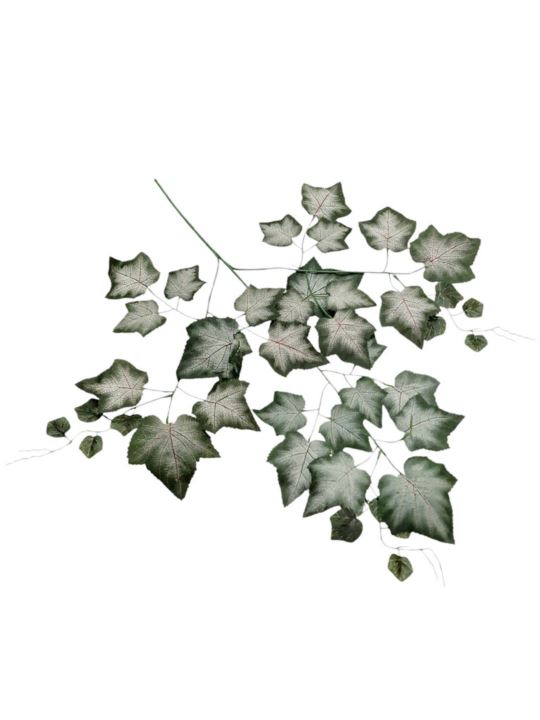 LIŚĆ X3  WINOBLUSZCZ OMSZAŁY 74CM POWDER DK GREEN
