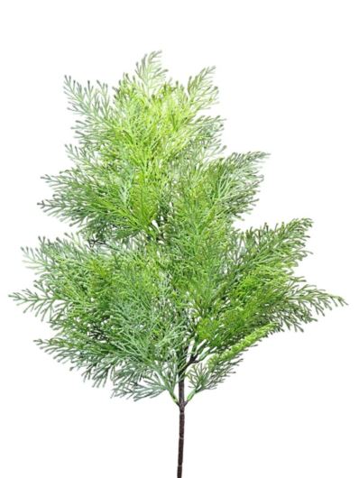 TUJA DUŻA GAŁĄZKA 66CM NATURAL GREEN