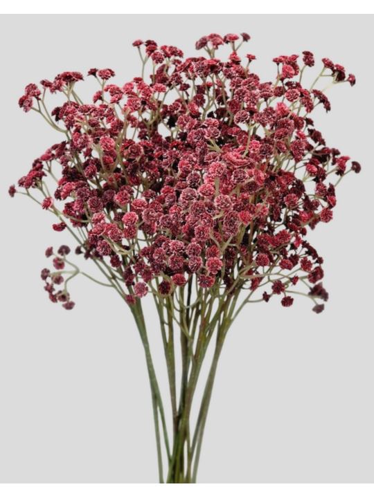 GIPSÓWKA GUMA 60CM CV32111 BURGUNDY VINE