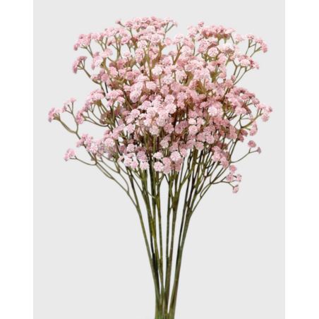 GIPSÓWKA GUMA 60CM CV32111 OLD POWDER PINK