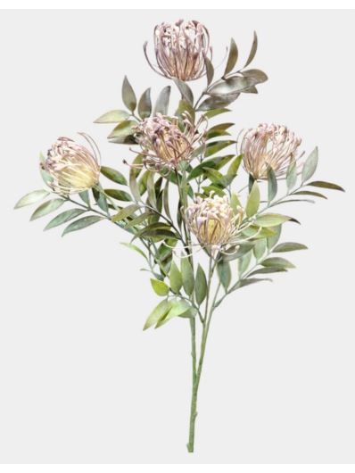 LEUCOSPERMUM GAŁĄZKA  5 KWIATÓW CV31680 GRAY