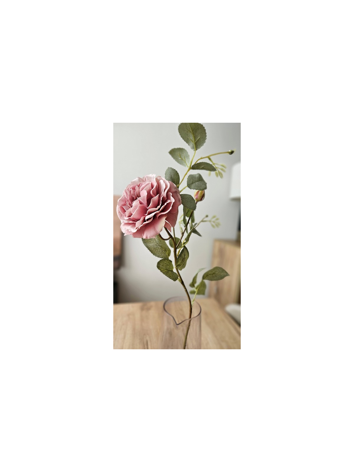 RÓŻA ANGIELSKA AUSTIN 65CM OLD MAUVE PINK