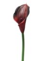 CALLA GUMA 72 CM ANA1013 COFFE