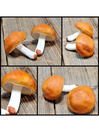 GRZYB SZTUCZNY GUMA MAŚLAK MAŁY 7CM WHITE ORANGE