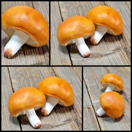 GRZYB SZTUCZNY GUMA MAŚLAK DUŻY 7CM WHITE ORANGE