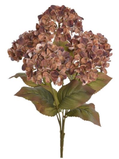 BUKIET HORTENSJI 44CM 5KWIATÓW KLM1107 SUNNY BROWN