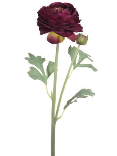 PEŁNIK 44CM REN2003 NATURAL TOUCH EGGPLANT