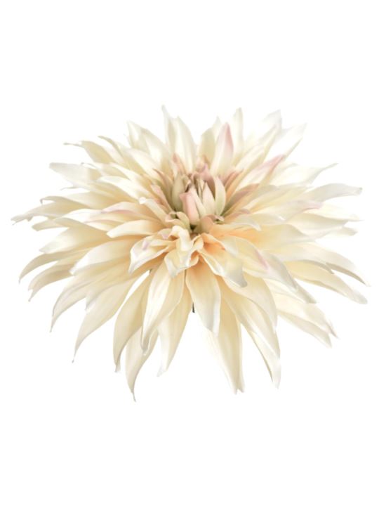 DALIA GŁOWA 18CM YD384 DIRTY CREAM