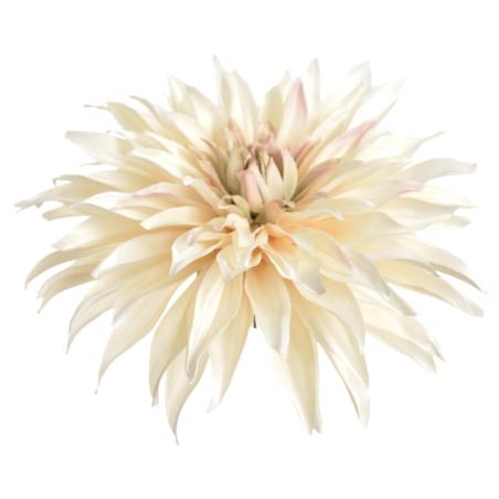 DALIA GŁOWA 18CM YD384 DIRTY CREAM