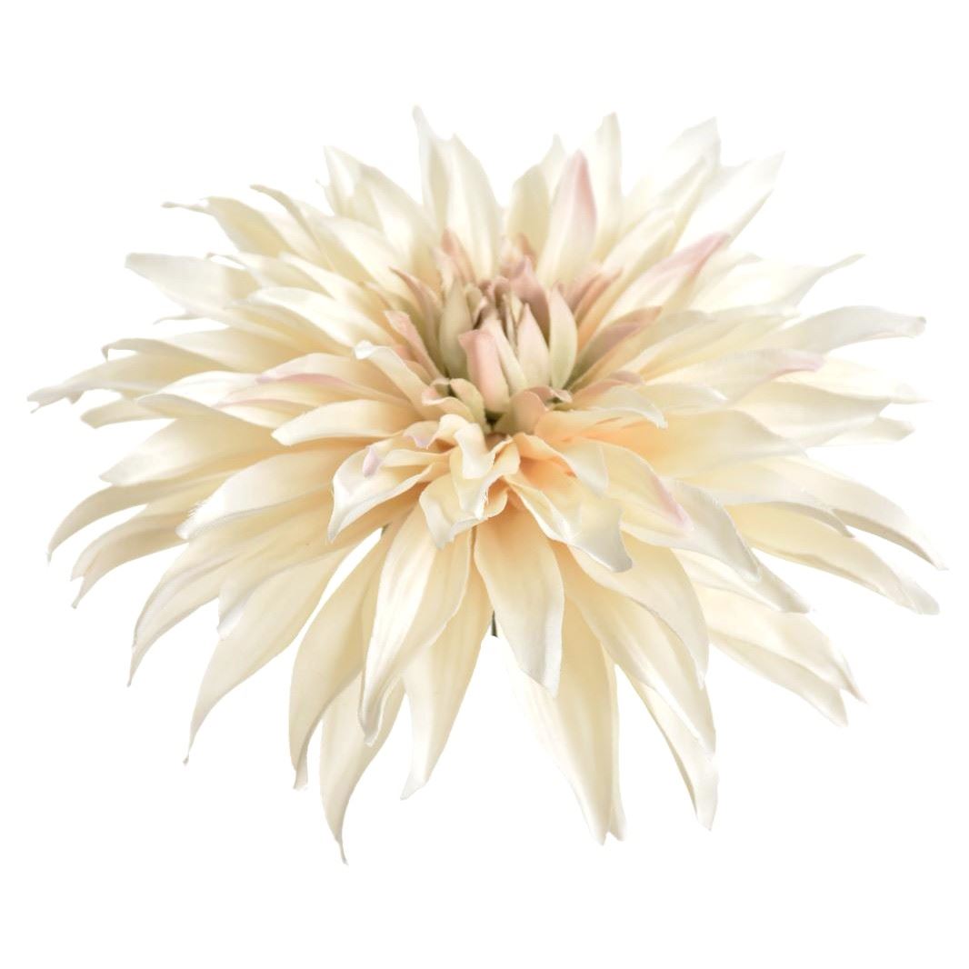 DALIA GŁOWA 18CM YD384 DIRTY CREAM
