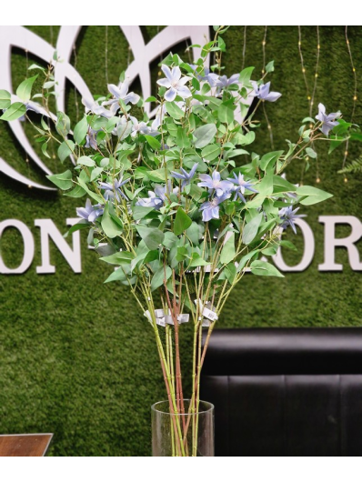 CLEMATIS STEM 130CM 134352  LT BLUE