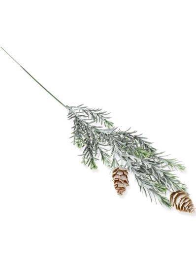 MODRZEW GAŁĄZKA IGLAK Z SZYSZKĄ /M54 53CM POW.GR