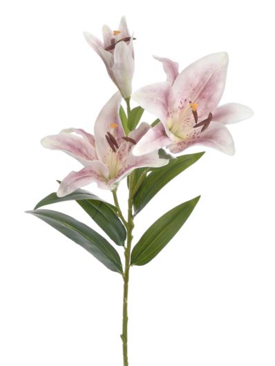 LILIA GAŁĄZKA NATURAL 87CM LEV003 LT PINK