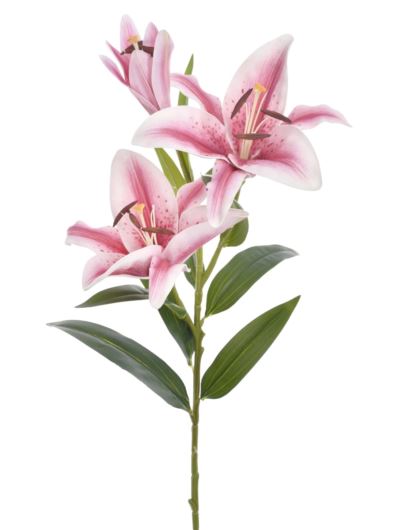 LILIA GAŁĄZKA NATURAL 87CM LEV003 WHITE DROP