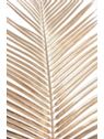 LIŚĆ PALMY AREKA 95CM JUN074 GOLD