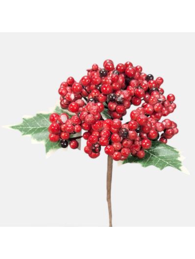 OSTROKRZEW Z LIŚCIEM PICK 12CM  RED