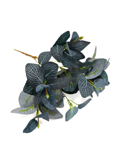 BUKIET FITONIA - LIŚCIE 35CM DK BLUE