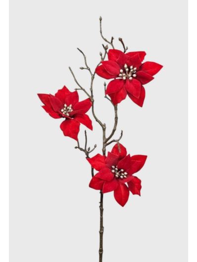 POINSECJA VELVET 3 KWIATY 65CM PURE RED